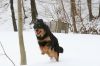 Bild_IMG_5477.JPG