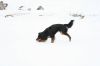 Bild_IMG_5503.JPG
